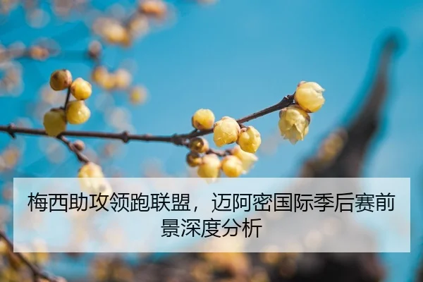 mei-xi-zhu-gong-ling-pao-lian-meng-mai-a-mi-guo-ji-ji-hou-sai-qian-jing-shen-du-fen-xi-2-575.jpg