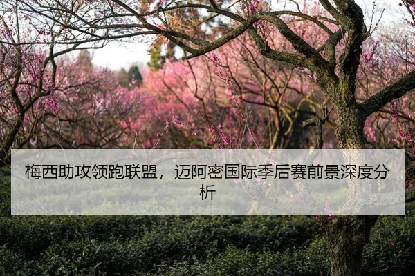 梅西助攻领跑联盟，迈阿密国际季后赛前景深度分析